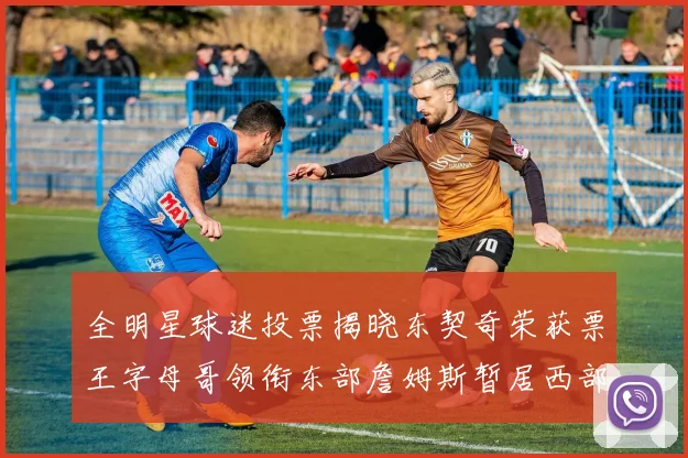 全明星球迷投票揭晓东契奇荣获票王字母哥领衔东部詹姆斯暂居西部第九