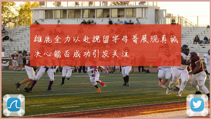 雄鹿全力以赴挽留字母哥展现真诚决心能否成功引发关注