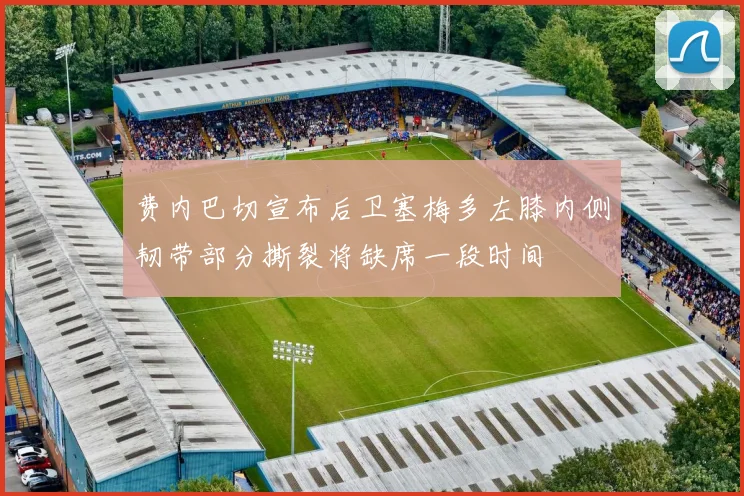 费内巴切宣布后卫塞梅多左膝内侧韧带部分撕裂将缺席一段时间