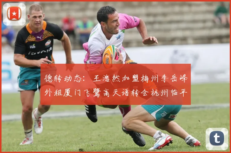 德转动态：王浩然加盟梅州李岳峰外租厦门飞鹭高天语转会杭州临平吴越